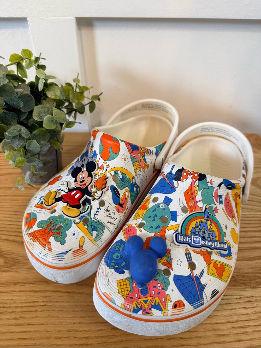 Walt Disney World Exclusive Mickey Mouse Play in the Park Crocs